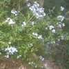 md.saidul.islam6697