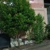 hidup664