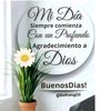mary62262