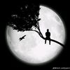 zeeshanhaider6698