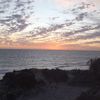chelseq33