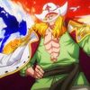 vins..sanji