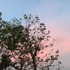 triangeldh