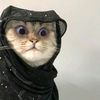 usernameeeee6000