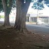 imperiodoga