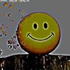 user3267805133713