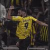 D7OM | 1927 🐅💛