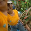 subebe00