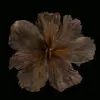 m_h1076