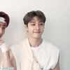 aree_star88