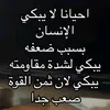 user81325620262040