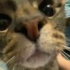 jackie_81222