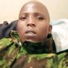 kipronmesh