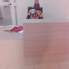 abdoui.rahouf