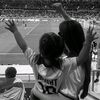 fatemeh8526