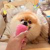 happy.shopping4289