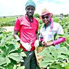 mohamedfofana831