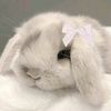 mel_isa029