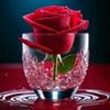 user3980622610852