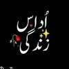 7kamran3