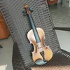 gaeoviolino