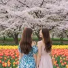東京OL￤週末お出かけプラン