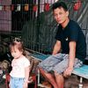 dedhy.noer