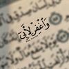 shroukdawood00