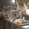 keiko_hirohata