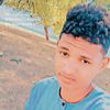 user87497856811331
