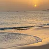 chichi_852