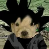 freddy.noob