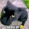 als_haa