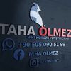 Taha ölmez