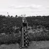 faizah_2251