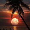 1hasan_ahmed
