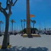 18_joana_18