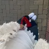 kdkgeidldb