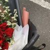 riha_b7
