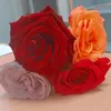 nour.israe