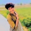 seet252