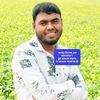 hasan.mia295
