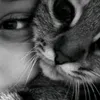 noraa.gmr