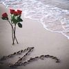 nour.nour.962