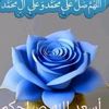 zenb.ali15