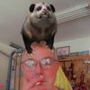kevinfasti4