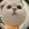 hbtkim15