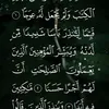 hama.jaf30