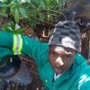 sibusisowelding
