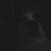 adam_mir0ilb